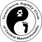 teamwork agility club logo