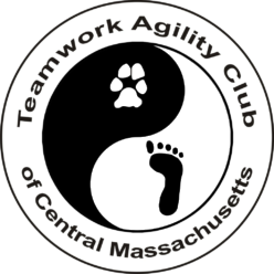 teamwork agility club logo transparent see thru